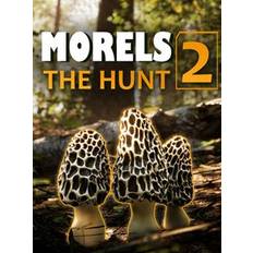 Morels: The Hunt 2 (PC) - Steam Key - GLOBAL