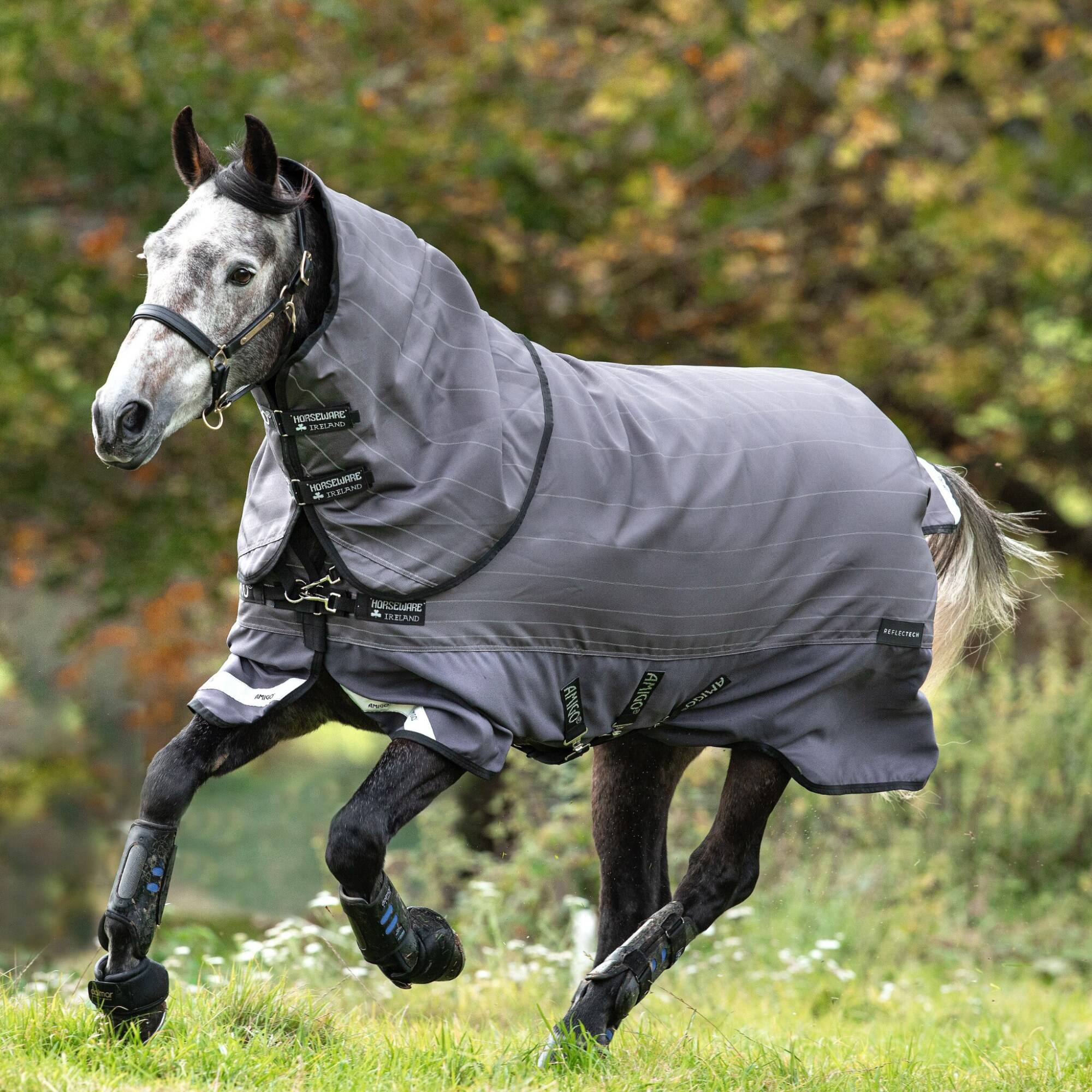 Amigo Bravo 12 Refl Plus - 100g, Horseware