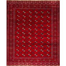 Turkman 56607
