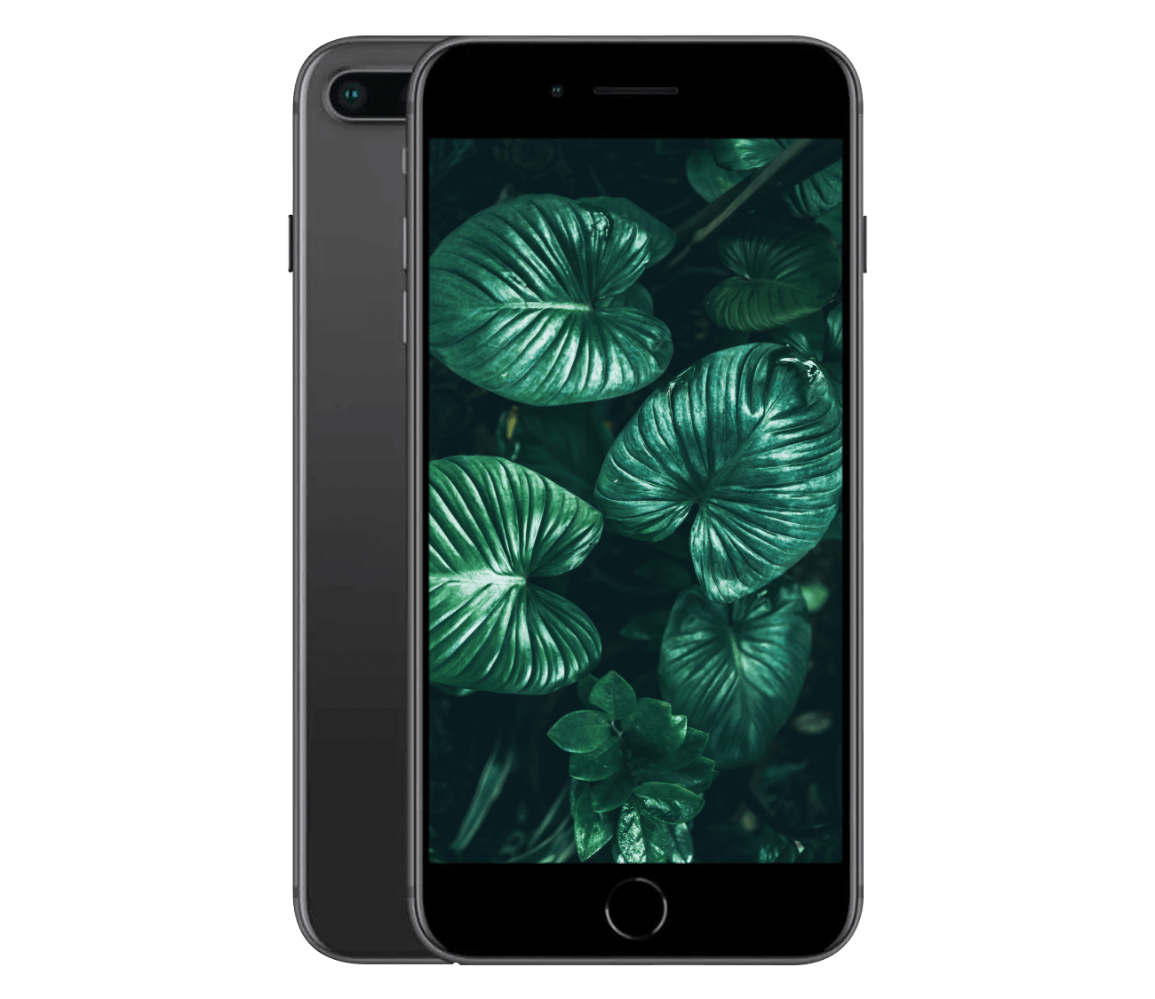 iPhone 8 Plus