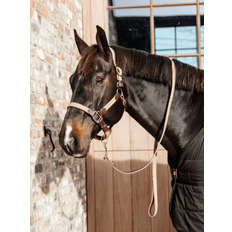 Kentucky Plaited Nylon Horse Lead Beige