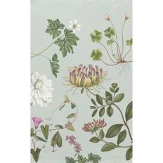 Økologisk viskestykke – The Flora Danica Atlas