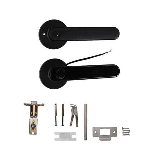 Fesjoy Smart Elektroniskt Lås Fingerprint Door Lock 4 sätt olåst tuya BT Connection App Lösenord Lås upp för hus Lägenheter