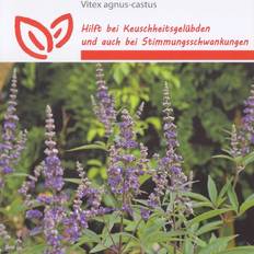 Vitex agnus-castus, Kyskhedstræ