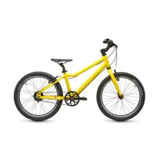 Grade 4 Belt 7-Speed