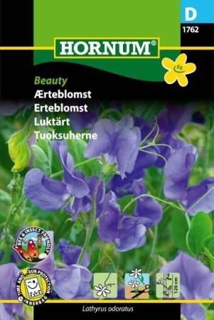 Luktärt 'Beauty'