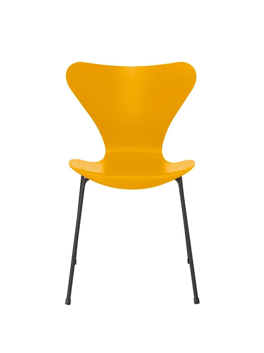 3107 Serie 7 stol i farvet ask af Arne Jacobsen True Yellow / Warm Graphite - Jacobsen Plus