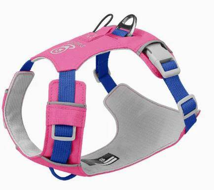 Lightweight No-Pull Reflective Dog & Cat Harness Vest - Rose Red / XS (XS)