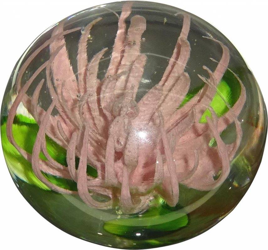 Rba Rosa Spindelblomma Konstglas