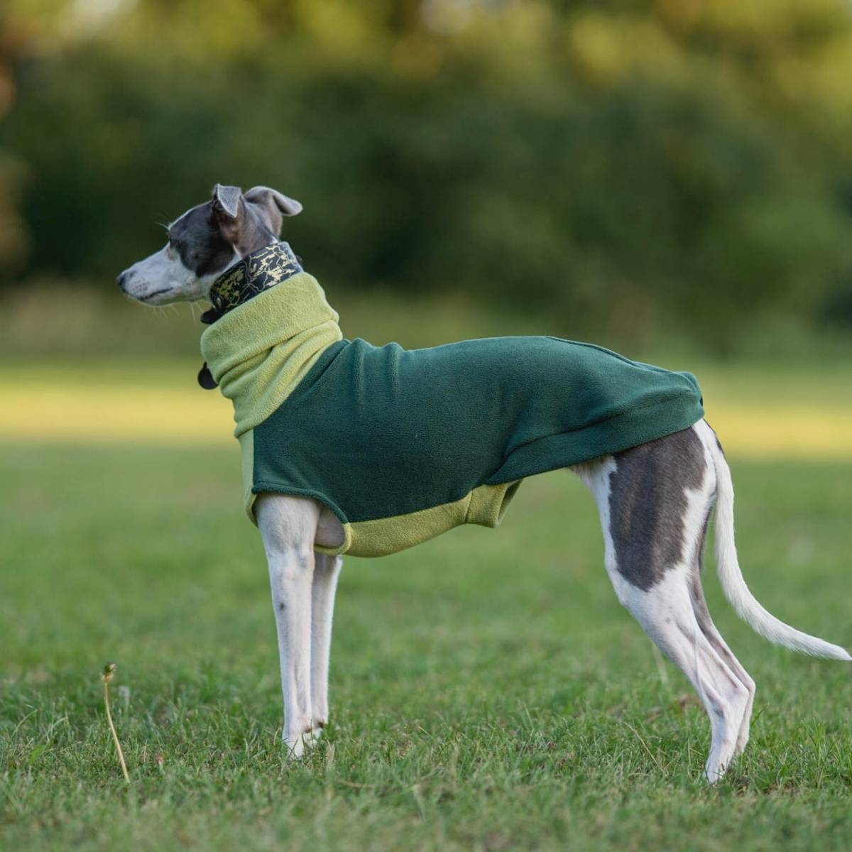 Green Fleece Turtleneck Sweatshirt for Greyhounds Autumn Thick Warm Coat for Whippet Winter Soft Purple Vest for Mid Large Dogs