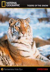 National Geographic - Fantastiska Vilda Djur # 03 : Tigers of the Snow (Beg)