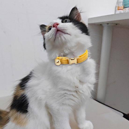 Katthalsband Sammet Enfärgat Husdjurschokerhalsband med Klocka Justerbart Halsband för Katt Kattunge Valp Små Hundar