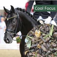 HorsePro Cool Focus 25kg