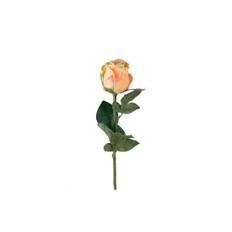 Ros snittblomma peach - Orange (H: 50 cm)