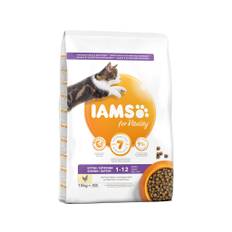 IAMS KITTEN / JUNIOR KATTEMAD 10 KG