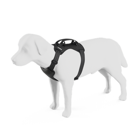 Thule Cappy