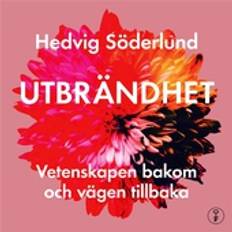 Den utbrända hjärnforskaren : personliga erfarenheter, fakta och vägen till läkning