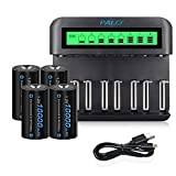 CITYORK LCD universalladdare, för batterier 8 AA/AAA eller 4 C/D, oberoende laddningskanal genom snabbladdare - med 4 * D-celler 8000mAh NI-MH-batterier