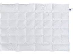 Temprakon - Dyne - B240 x L220 cm (Kingsize dyne) / Warm