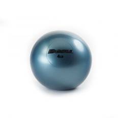 BOSU Weight Ball 4 LBS (2 kg)