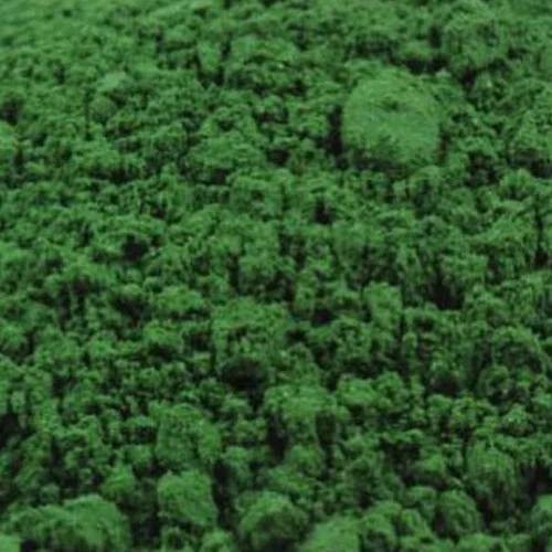Kremer Pigment 41750 Vagone Green Earth 100g