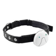 2025 Ny Smart GPS Kat & Hunde Halsbånd GPS Tracker (hvid)