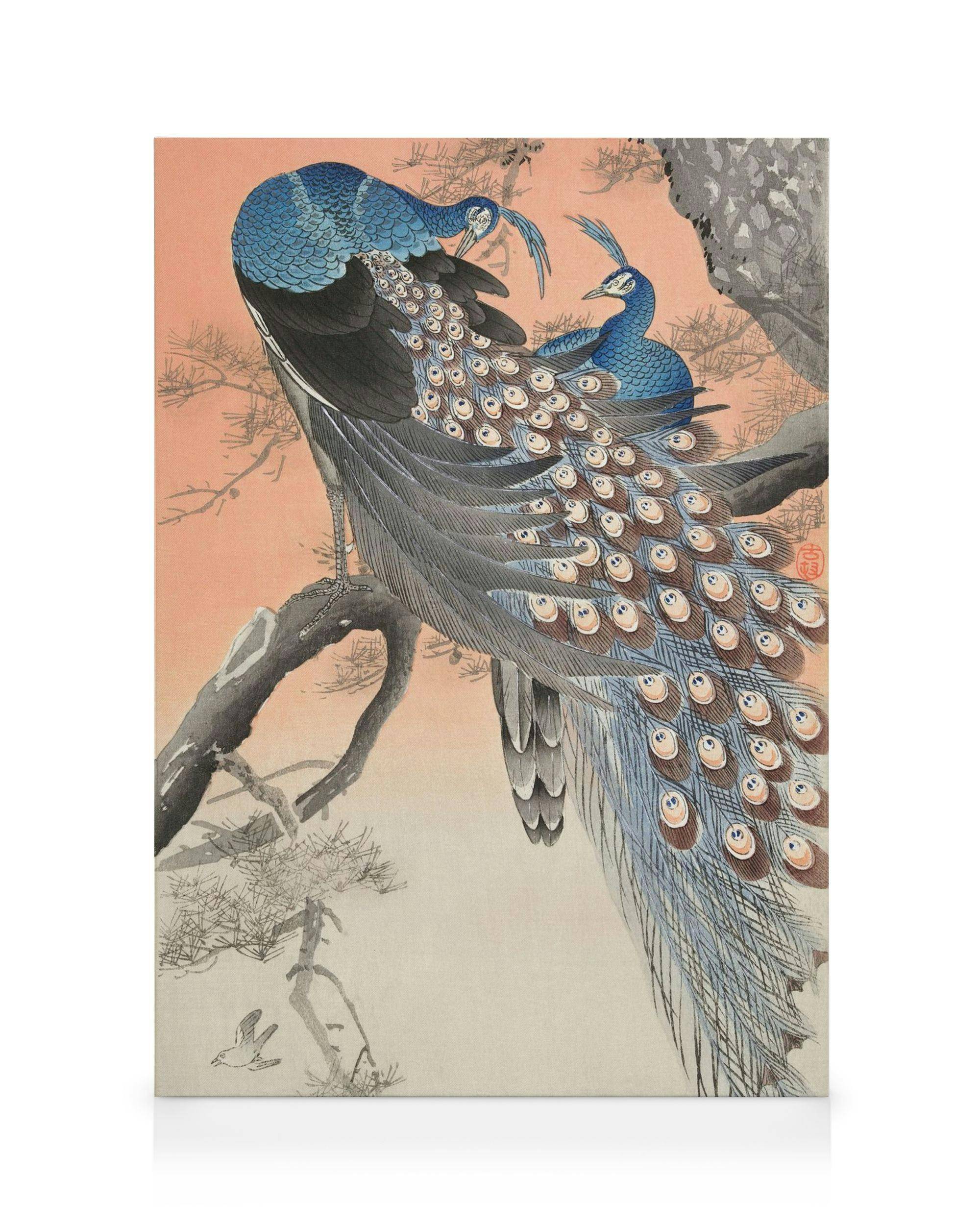 Canvastavlor Ohara Koson - Two Peacocks on Tree Branch Canvastavla (30x40 cm)