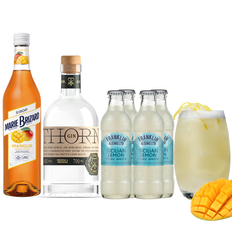 Drinkspakke: Gin Mango - 70 cl