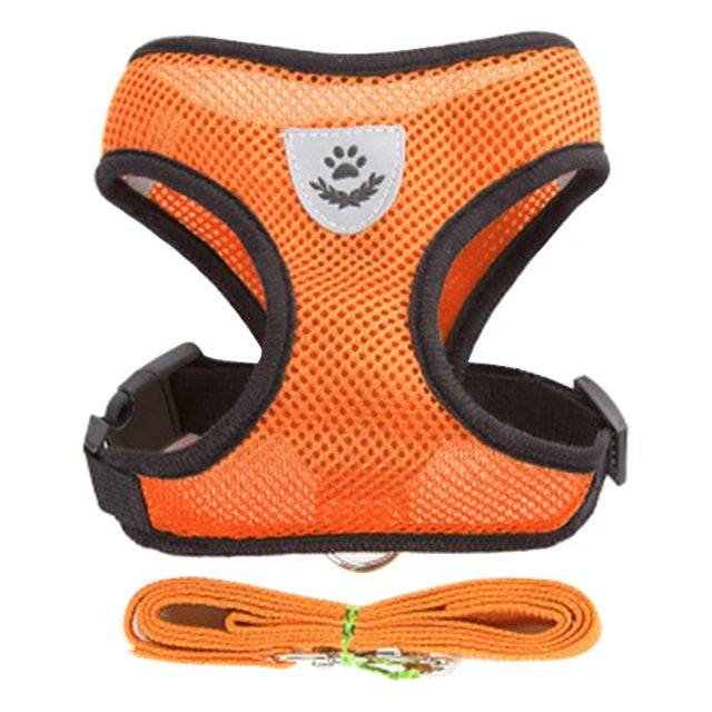 Breathable Mesh Vest Harness & Lead Set for Small to Medium Cats and Dogs - Orange / M(2.5-4 kg) (M(2.5-4 kg))
