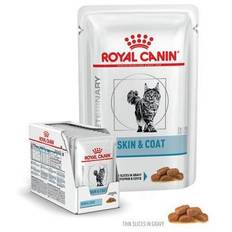 Royal Canin Derm Skin & Coat. Kattefoder (dyrlæge diætfoder). Vådfoder 12 x 85g