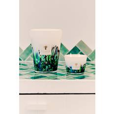 SCENTED CANDLE RAINFOREST AMAZONIA - MAX 10