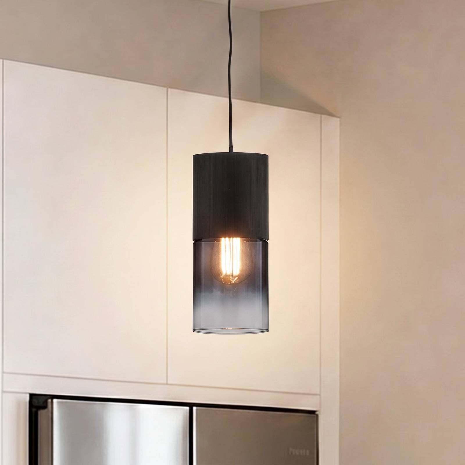 Trio Lighting Robin hänglampa för DUOline, svart/rökgrå Robin, dimbar, Svart, Vardagsrum / matsal, Metall, Modern, Skensystem