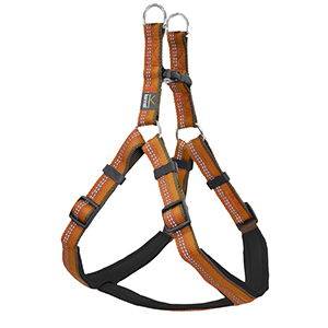 Kennel Equip Dog Harness. Hundsele, Orange