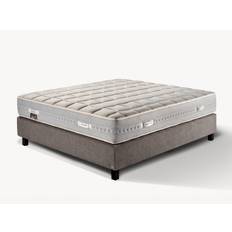Colunex Chandon madras