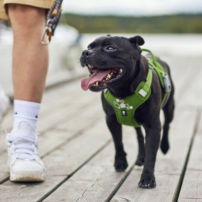 Hurtta Weekend Warrior II ECO Hundsele Grön (40-50)