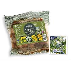 Blomsterløg, frø & forårsblomster 60 løg (På lager i butik)