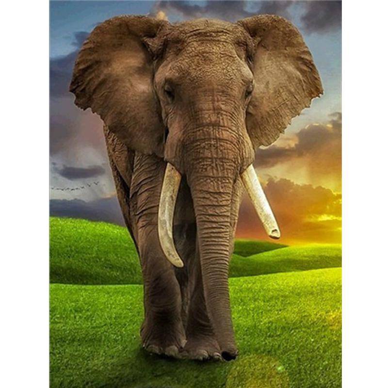 3D Gör-det-själv-diamantmålning fullborr strassmosaik handgjorda handarbete elefant diamantbroderi 30X40CM