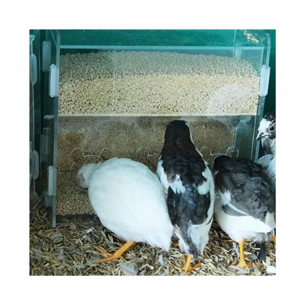 10X Feeder Box Acrylic Feeding Container No-Mess Multihole Food Box Clear Bird Food Dispenser Box