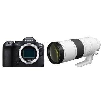 Canon EOS R6 Mark II + RF 200–800 mm f/6,3–9,0 IS USM