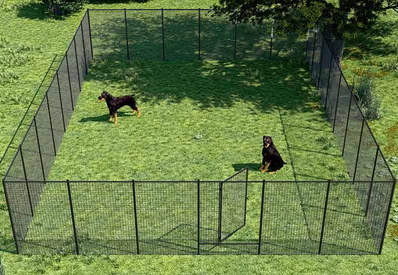 Lackerad Hundgård 69,12 m² Drömgård - Buster Svart