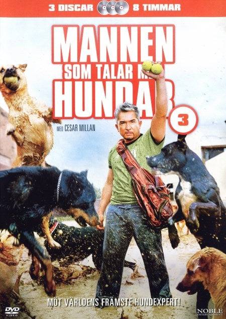 Mannen som talar med hundar # 3 (Beg)