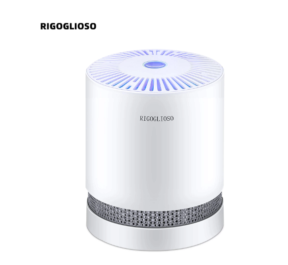 RIGOGLIOSO Luftrenare För Hemmet Kontor True HEPA Filters Kompakt Desktop Air Purifier Filtrerar med Natt Mode Air Cleaner GL2109