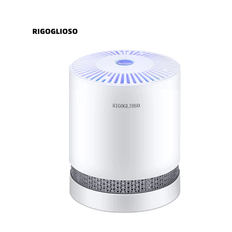 RIGOGLIOSO Luftrenare För Hemmet Kontor True HEPA Filters Kompakt Desktop Air Purifier Filtrerar med Natt Mode Air Cleaner GL2109