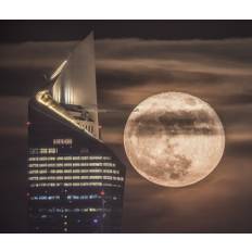 Handling The Supermoon Poster 50x70 cm