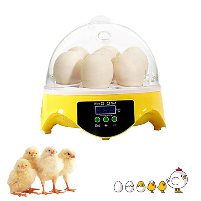 Ägginkubator 7 ägg digitala automatiska inkubatorer kläckägg med automatisk vändare som kläcker kalkongås vaktel kycklingägg - Eu