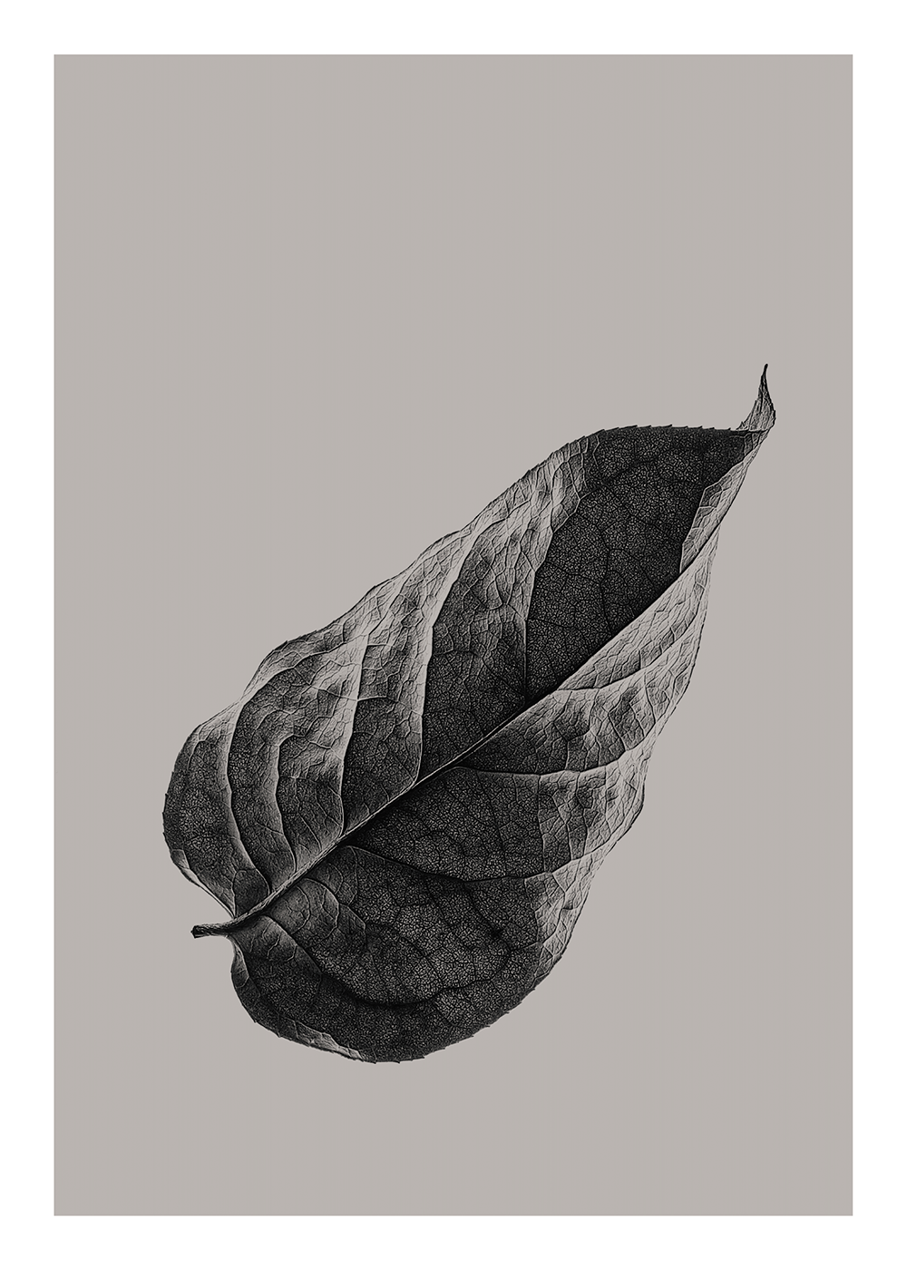 Sabi Leaf 01 - 50x70 cm (50x70 cm)
