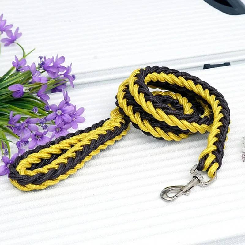 Adjustable Nylon Dog Leash & Collar Set for Medium to Large Dogs - 02 / Dia. 2.5cm (Dia. 2.5cm)