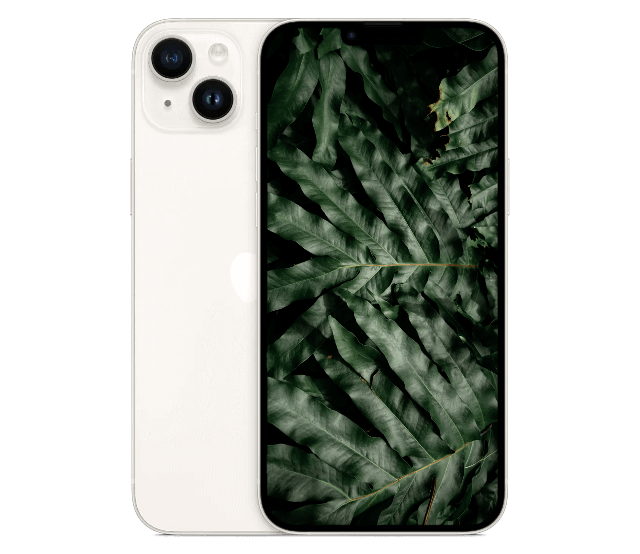 iPhone 14 Plus