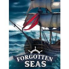 Forgotten Seas (PC) - Steam Account - GLOBAL