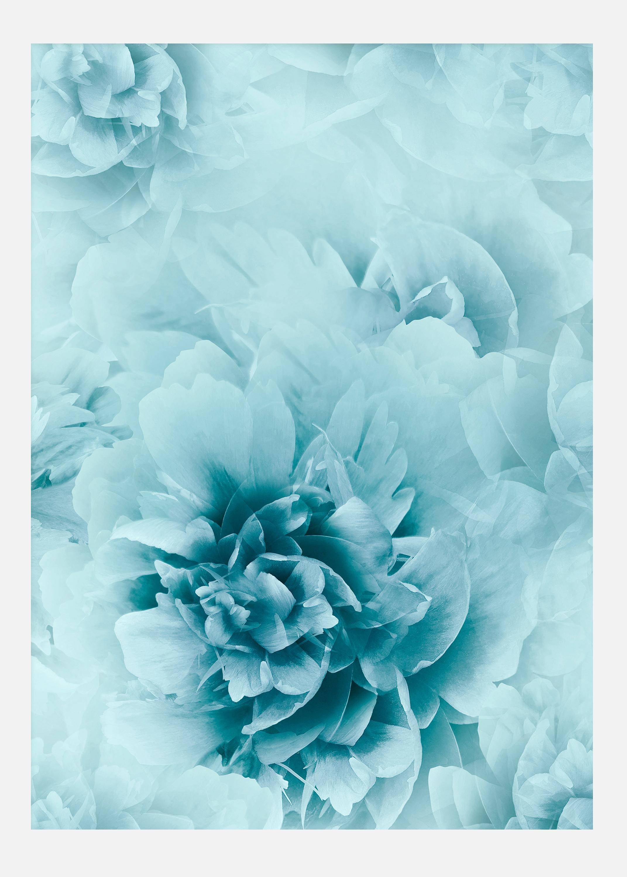 Turquoise Flowers Canvastavla (50x70 cm)